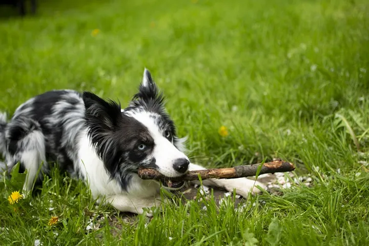 DI / IOC with @furystack/inject 💉